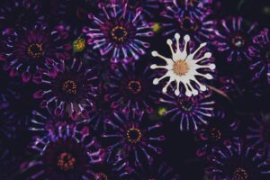 Antimicrobial Stewardship Strategies to Prevent the Overuse of Antibiotics in Treating Infections