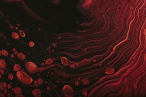 Exploring the Historical Impact of Infectious Diseases on Human Populations and Societal Development