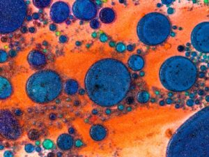 How Effective Are Current Vaccines in Preventing New and Emerging Infectious Diseases Globally
