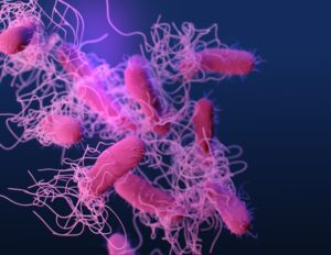 The Complex Relationship Between Climate Change and the Spread of Infectious Diseases in Regions
