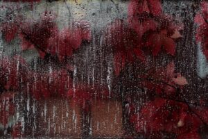 The Relationship Between Infection and Chronic Inflammation in Long-Term Health Complications